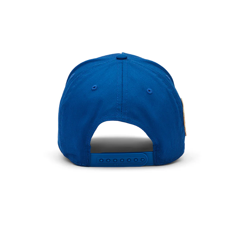 Stevenson Ranch x Chicago "Fly The W" Hat (Blue) - Image 5